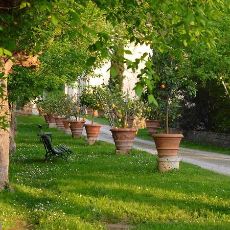 Ferienwohnung Ginestra Poggibonsi Exterior foto