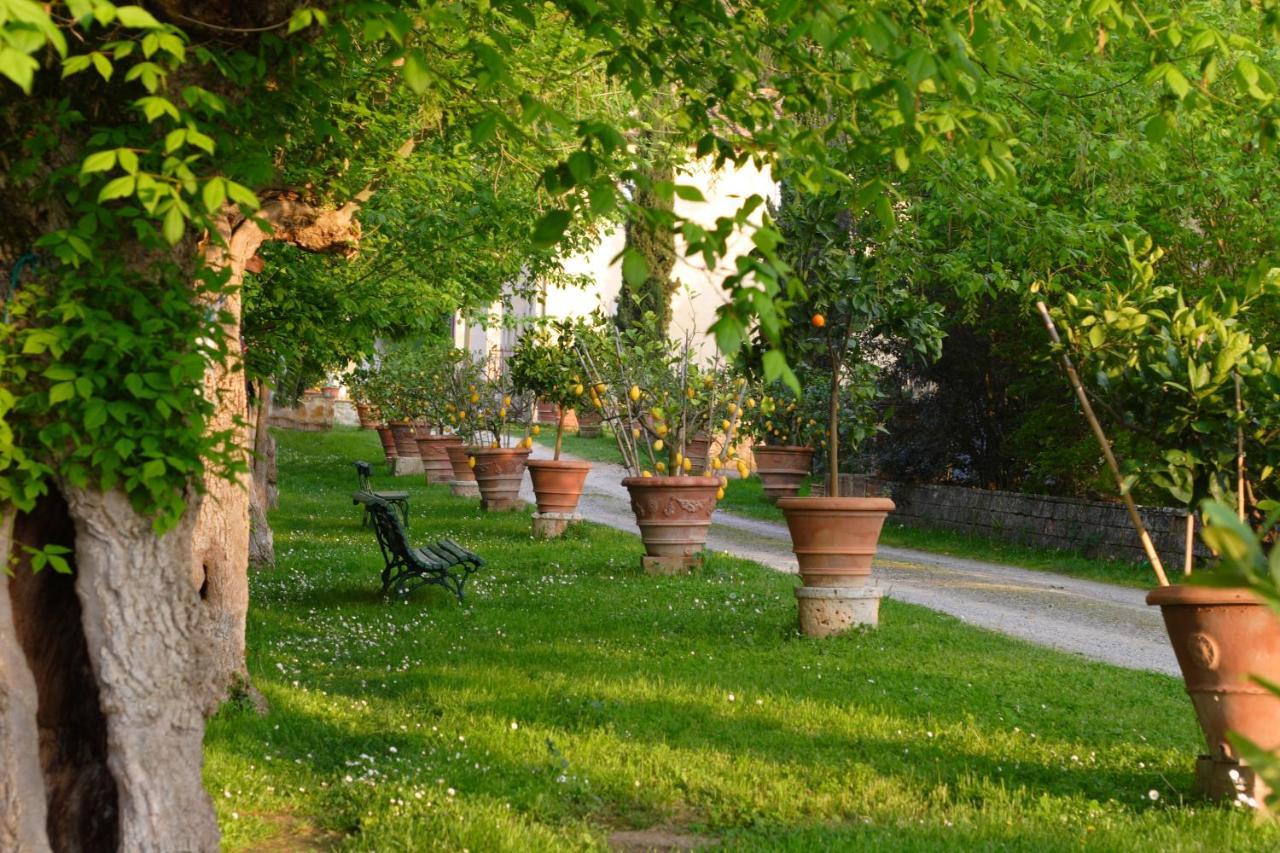 Ferienwohnung Ginestra Poggibonsi Exterior foto